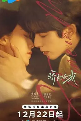 骄阳似我（2025）封面图