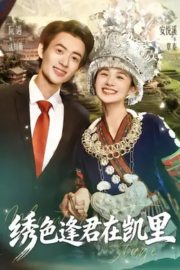 绣色逢君在凯里封面图