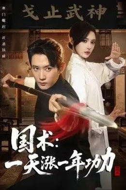 国术，一天涨一年功力封面图