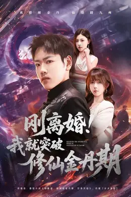 刚离婚！我就突破修仙金丹期海报图片