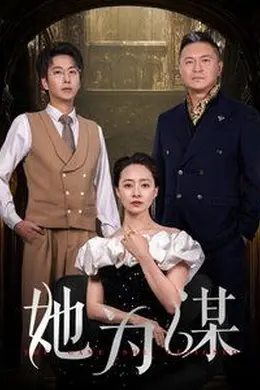 她为谋海报图片