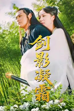 剑影凝霜海报图片