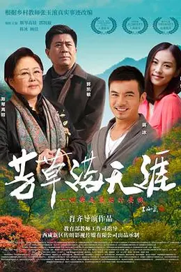 芳草满天涯封面图