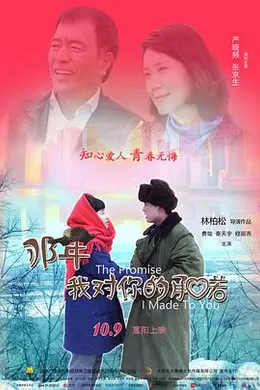 那年我对你的承诺封面图