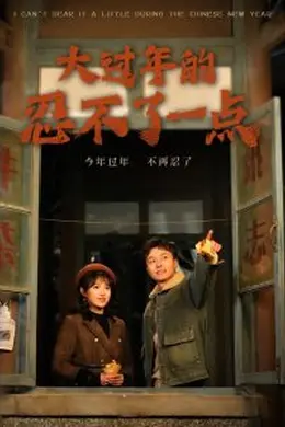 大过年的忍不了一点海报图片