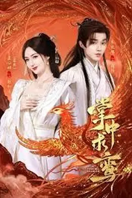 掌中求鸾封面图