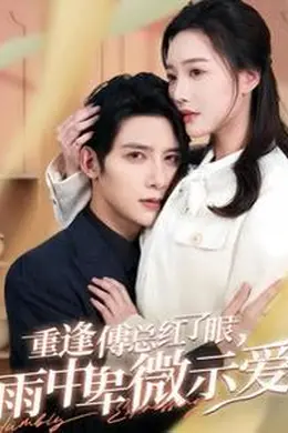 重逢傅总红了眼雨中卑微示爱海报图片