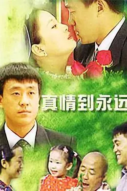 真情到永远封面图