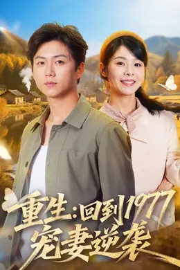 重生：回到1977当奶爸海报图片