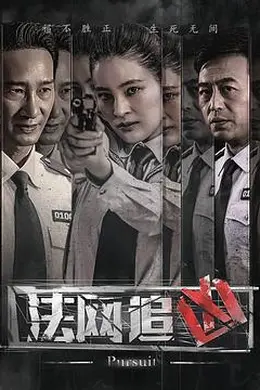 法网追凶封面图
