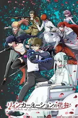 轮回的花瓣封面图