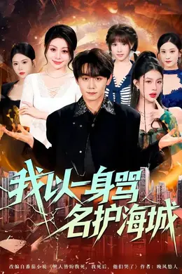 我以一身骂名护海城海报图片