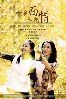 故乡面参花情封面图