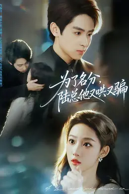 为了名分，陆总他又哄又骗海报图片