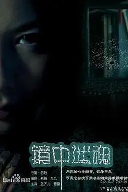 镜中迷魂封面图