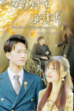 落花时节再逢君海报图片