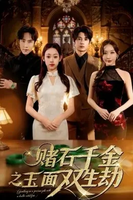 赌石千金之玉面双生劫封面图