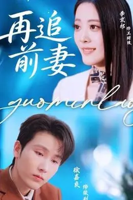 再追前妻海报图片
