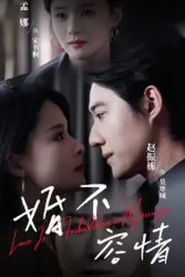 婚不容情海报图片