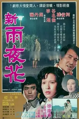 新雨夜花封面图