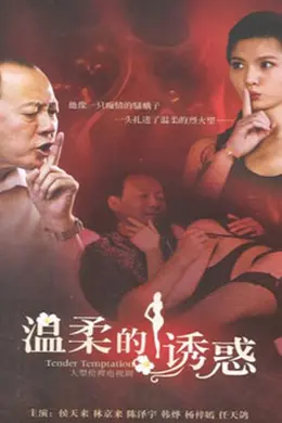 温柔的诱惑封面图