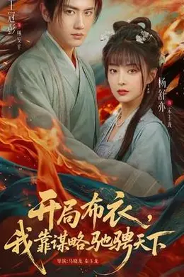 开局布衣，我靠谋略驰骋天下海报图片
