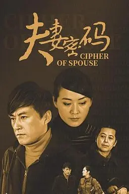 夫妻密码封面图