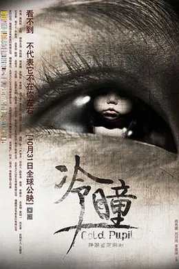 冷瞳封面图