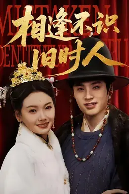 相逢不识旧时人海报图片