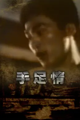 手足情1988封面图