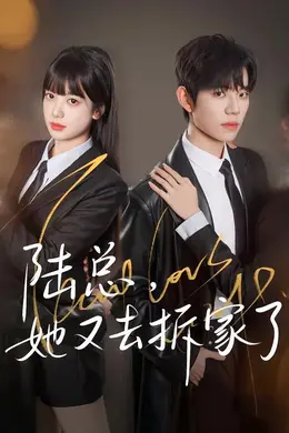 陆总，她又去拆家了封面图