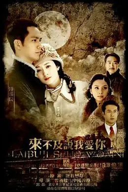 来不及说我爱你封面图