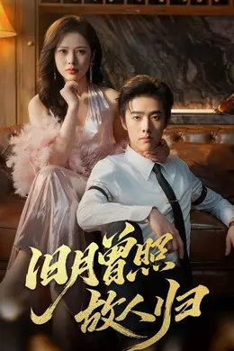 旧月曾照故人归封面图