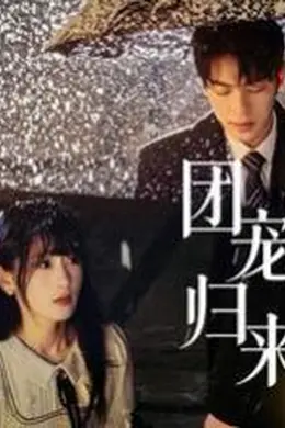 团宠归来三个哥哥帮我手撕渣男全家海报图片