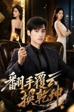 翻手覆云换乾坤海报图片