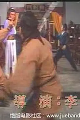 双龙争珠封面图