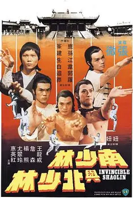 南少林与北少林海报图片