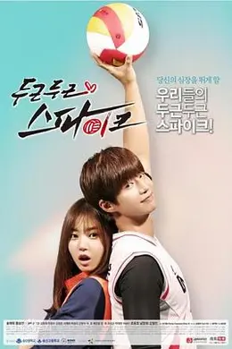 花样排球封面图