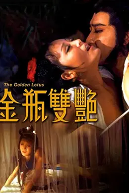 金瓶双艳封面图