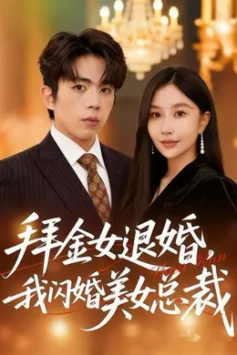拜金女退婚，我闪婚美女总裁海报图片