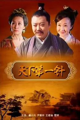 天下第一针封面图