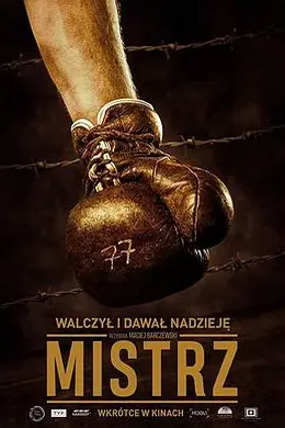 战俘拳王封面图