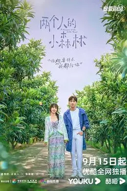 两个人的小森林封面图