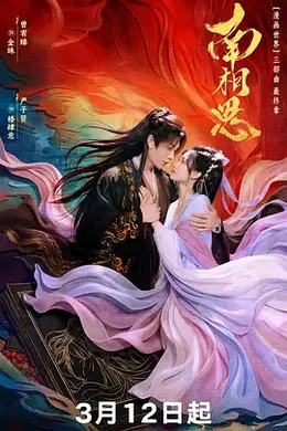 南相思封面图