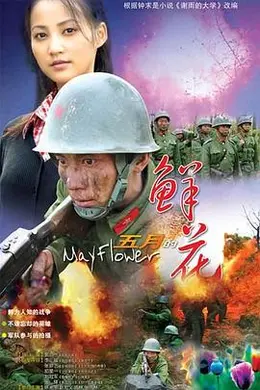 五月的鲜花封面图