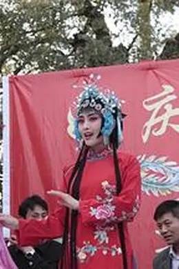 情系拉魂腔封面图