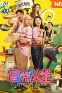 冒牌人生封面图