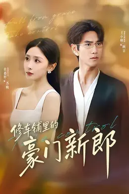 修车铺里的豪门新郎海报图片