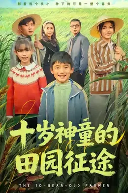十岁神童的田园征途海报图片