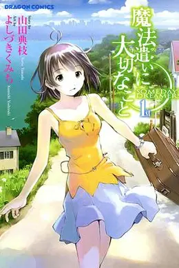 魔法使的注意事项封面图